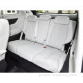 4WD Luxury New Brand Vehicle Car Car MPV XPeng X9 6 prazas Grandes Space EV Car